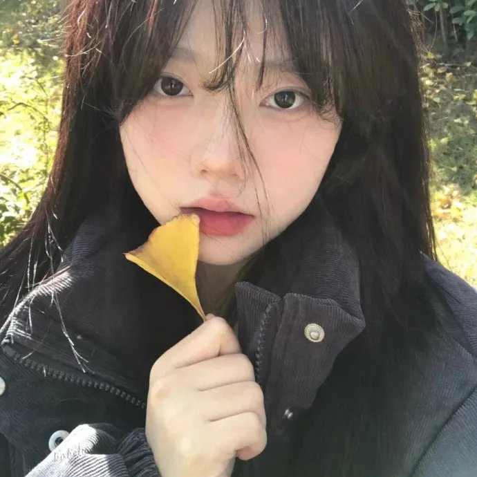 加菲猫和他的朋友们第二季