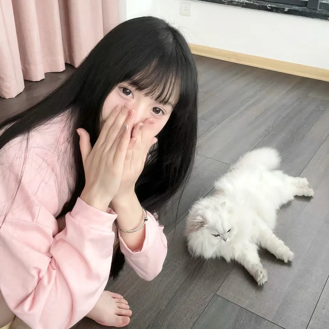 义犬奇行录