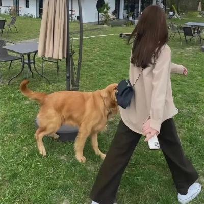 至尊红颜